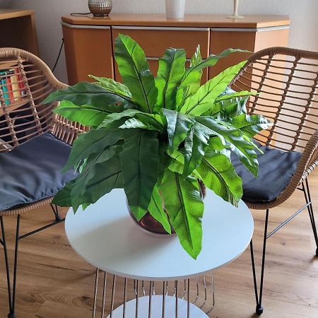 Apartment Sehring Oelde Exteriör bild
